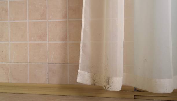 Best Mold Prevention Services  in Heber Overgaard, AZ