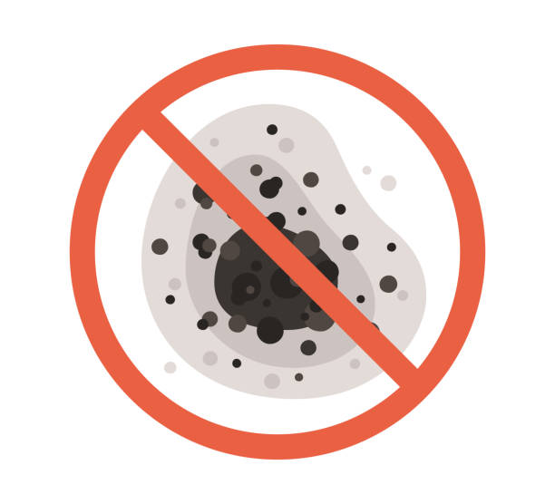 Professional Mold Removal in Heber Overgaard, AZ