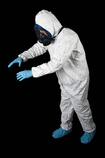 Best Industrial Mold Remediation  in Heber Overgaard, AZ